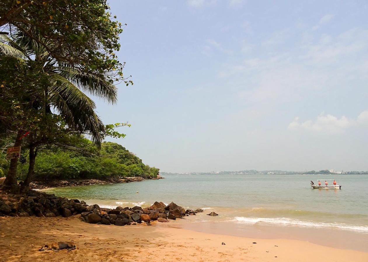 Pineview Hotel Unawatuna Ngoại thất bức ảnh